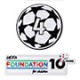 25–26 Ballon étoilé UCL 4 fois vainqueur + Ensemble d’écussons Fondation UEFA 10e anniversaire  + €6,00 