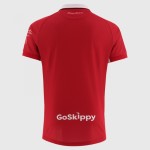 Maillot domicile Bristol City 2025/26 homme Maillot domicile Bristol City 2025/26 homme