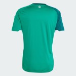 Homme Irlande du Nord 2026 Domicile Coupe du Monde Maillot