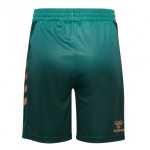 Short Troisième Werder Brême 2025/26 Homme Short Troisième Werder Brême 2025/26 Homme