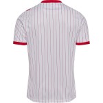 Maillot Coupe du Monde 2026 Extérieur Danemark Enfant Maillot Coupe du Monde 2026 Extérieur Danemark Enfant