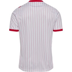 Maillot Coupe du Monde 2026 Extérieur Danemark Homme