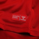 Maillot Coupe du Monde 2026 Domicile Danemark Homme