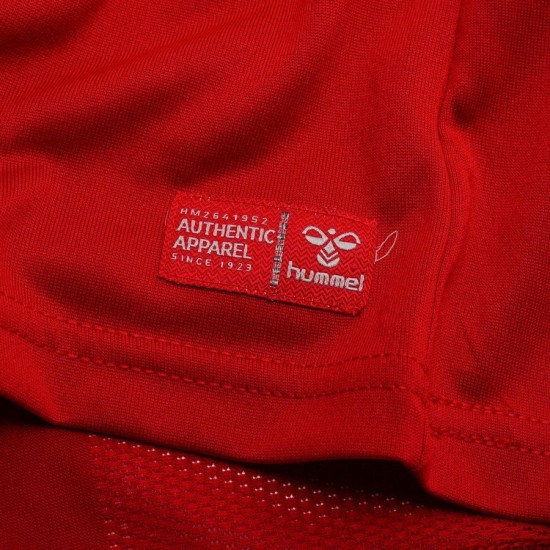 Maillot Coupe du Monde 2026 Domicile Danemark Homme