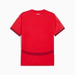 Homme Suisse 2025 Maillot Domicile Équipe Féminine Homme Suisse 2025 Maillot Domicile Équipe Féminine