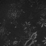 Maillot Spécial Noir Total Dynamo Dresden Homme 2025/26