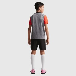 Enfant Chelsea 2025/26 Troisième Maillot Pré-Match Gris Enfant Chelsea 2025/26 Troisième Maillot Pré-Match Gris