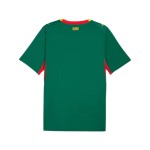 Maillot Coupe du Monde 2026 Extérieur Sénégal Enfant Maillot Coupe du Monde 2026 Extérieur Sénégal Enfant