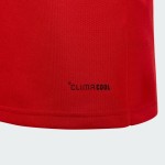 Enfant Pays de Galles 2025/26 Maillot Manches Longues 150e Anniversaire Enfant Pays de Galles 2025/26 Maillot Manches Longues 150e Anniversaire