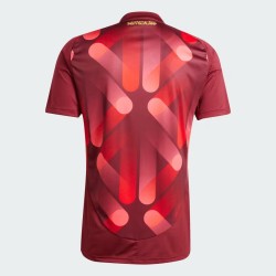 Maillot Extérieur Équipe Féminine Allemagne 2025 Homme