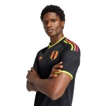 Maillot Coupe du Monde 2026 Extérieur Pérou Homme