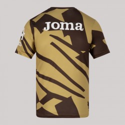 Hommes Brentford 2025/26 Troisième Maillot Pré-Match - Marron