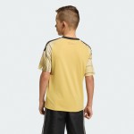Enfant St. Louis City SC 2026 Maillot Extérieur Enfant St. Louis City SC 2026 Maillot Extérieur