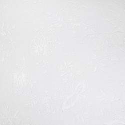 Homme Dynamo Dresden 2025/26 Maillot Spécial Whiteout Homme Dynamo Dresden 2025/26 Maillot Spécial Whiteout