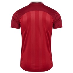 Maillot domicile équipe féminine Danemark 2025 Homme