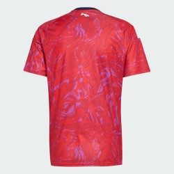 Maillot domicile Coupe du Monde 2026 Costa Rica homme