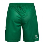 Short Femme Werder Brême 2025/26 Domicile - Vert Short Femme Werder Brême 2025/26 Domicile - Vert