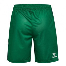 Short Homme Werder Brême 2025/26 Domicile - Vert