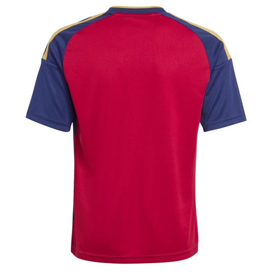 Enfant Real Salt Lake 2026 Maillot Domicile Enfant Real Salt Lake 2026 Maillot Domicile