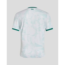 Maillots extérieur équipe féminine Irlande hommes 2025