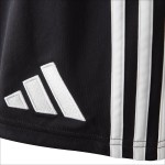 Short Européen Troisième OL 2025/26 Homme