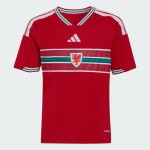Maillot domicile Coupe du Monde 2026 Pays de Galles enfant Maillot domicile Coupe du Monde 2026 Pays de Galles enfant