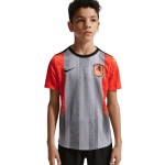 Enfant Chelsea 2025/26 Troisième Maillot Pré-Match Gris