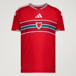 Maillot domicile authentique Coupe du Monde 2026 Pays de Galles homme Maillot domicile authentique Coupe du Monde 2026 Pays de Galles homme